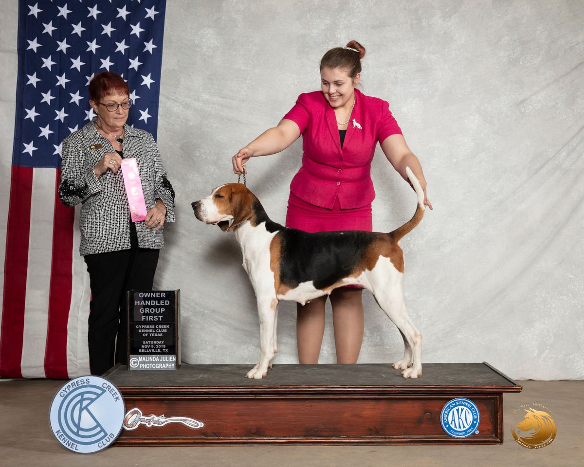 Cherry Creek Sioux War Paint | Treeing Walker Coonhound 