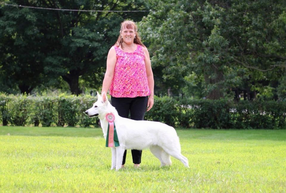 Royal's Mystic RIver | White Swiss Shepherd Dog 