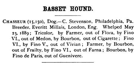 Chasseur (1889) AKC 015150 | Basset Hound 