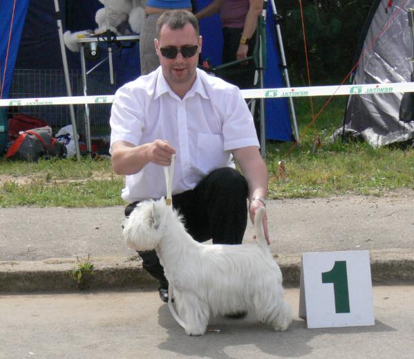 Allee Vilniaus Vesta | West Highland White Terrier 