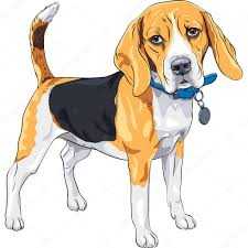 Nagyságos Fejedelem Kedvence Angyal | Beagle 