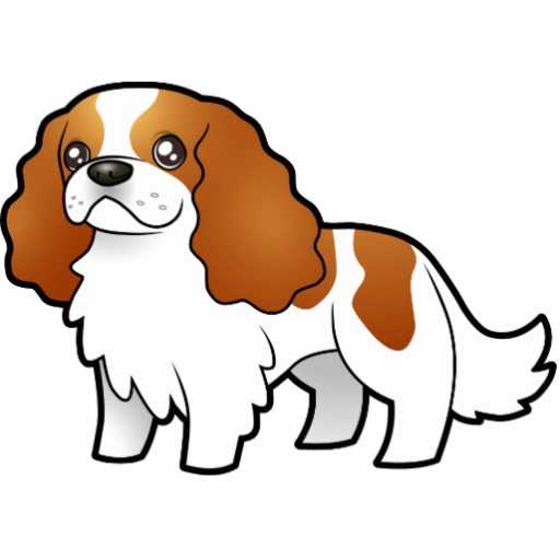 Pearl Blaze of Loch Fee | Cavalier King Charles Spaniel 