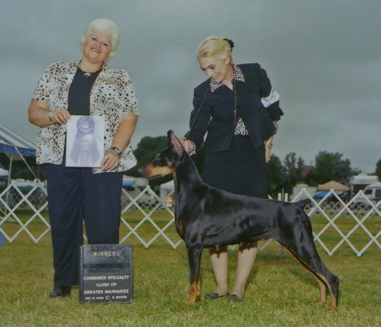 Kansa's Foxxy Cleopatra | Black Doberman Pinscher