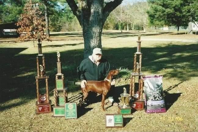 Fireballs Jackpot Jackie | Redbone Coonhound 