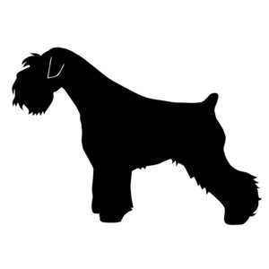 dominia sebastian hogar | Miniature Schnauzer 