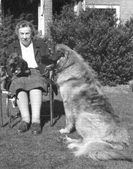 Gyurcsitarjan Dorpel | Leonberger 