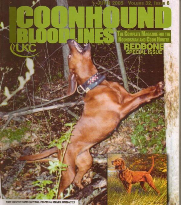 Nighty Nite Moonlight Kate | Redbone Coonhound 