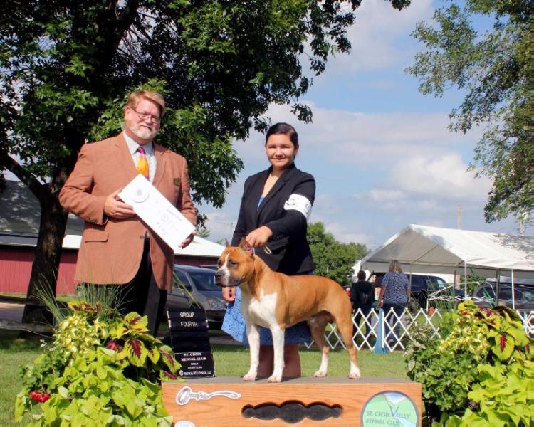 BC Highway Bound For Glory | American Staffordshire Terrier 