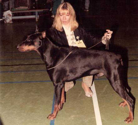 Igor Izreel v. Diaspora | Black Doberman Pinscher