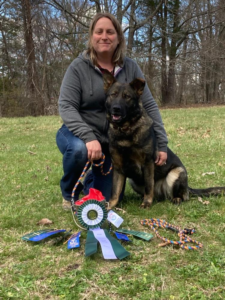 Henderson's Mildred vom Big Rock | German Shepherd Dog 