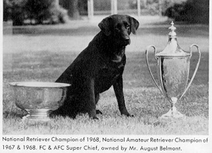 1968 NFC 1967 & 1968 NAFC Super Chief  (1992 Hall of Fame) | BLK Labrador Retriver