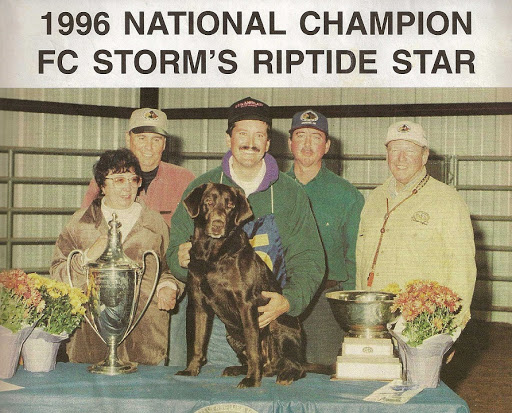 '96 NFC AFC Storm's Riptide Star | CHOC Labrador Retriver