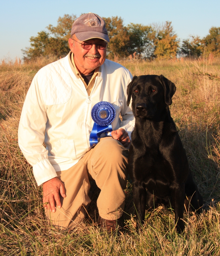 FC AFC Dominators Duke Of Turrell | BLK Labrador Retriver