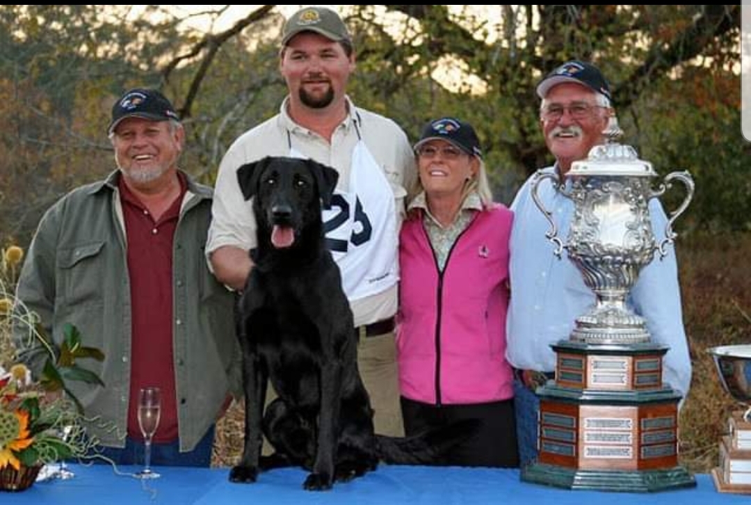 '10 NFC-FC-AFC Hunter Runs Booboo | BLK Labrador Retriver