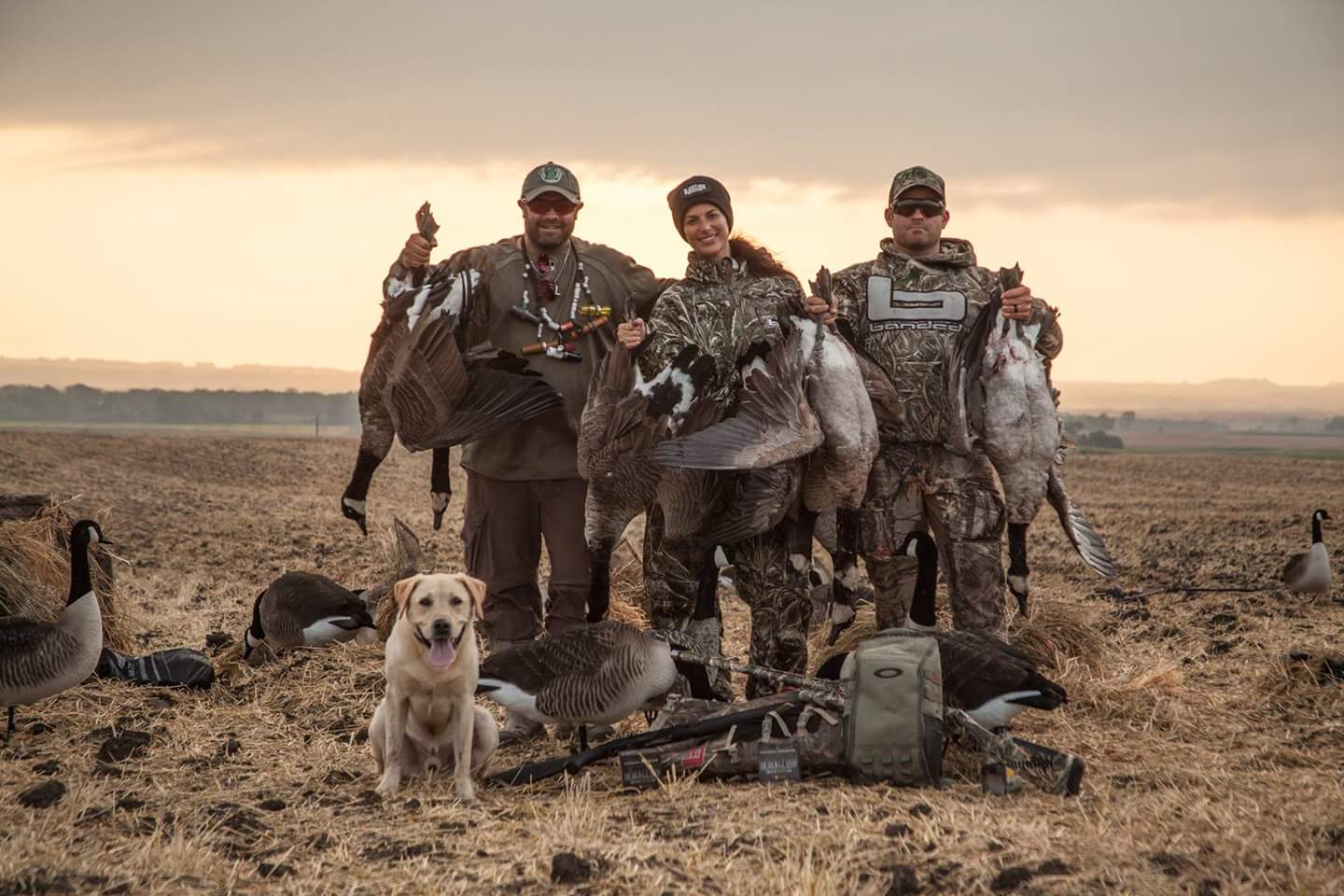 HRCH Snake River's Pale Rider MH QAA | Yellow Labrador Retriver