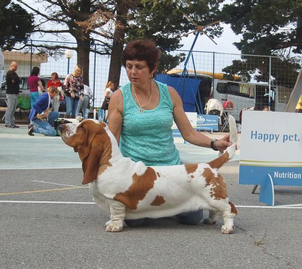 Orinoko Queen´s Hermelín | Basset Hound 