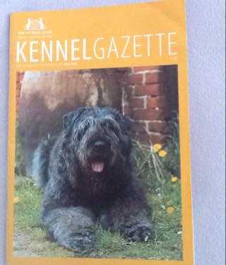 Nikolaev Raffles | Bouvier des Flandres 