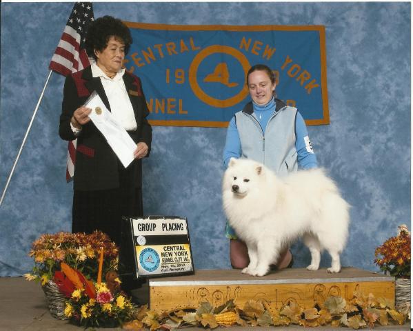 Pat's Irish Alpine Custom Built | American Eskimo Dog 