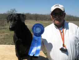 OGF Contenders Abbie QAA | Black Labrador Retriver