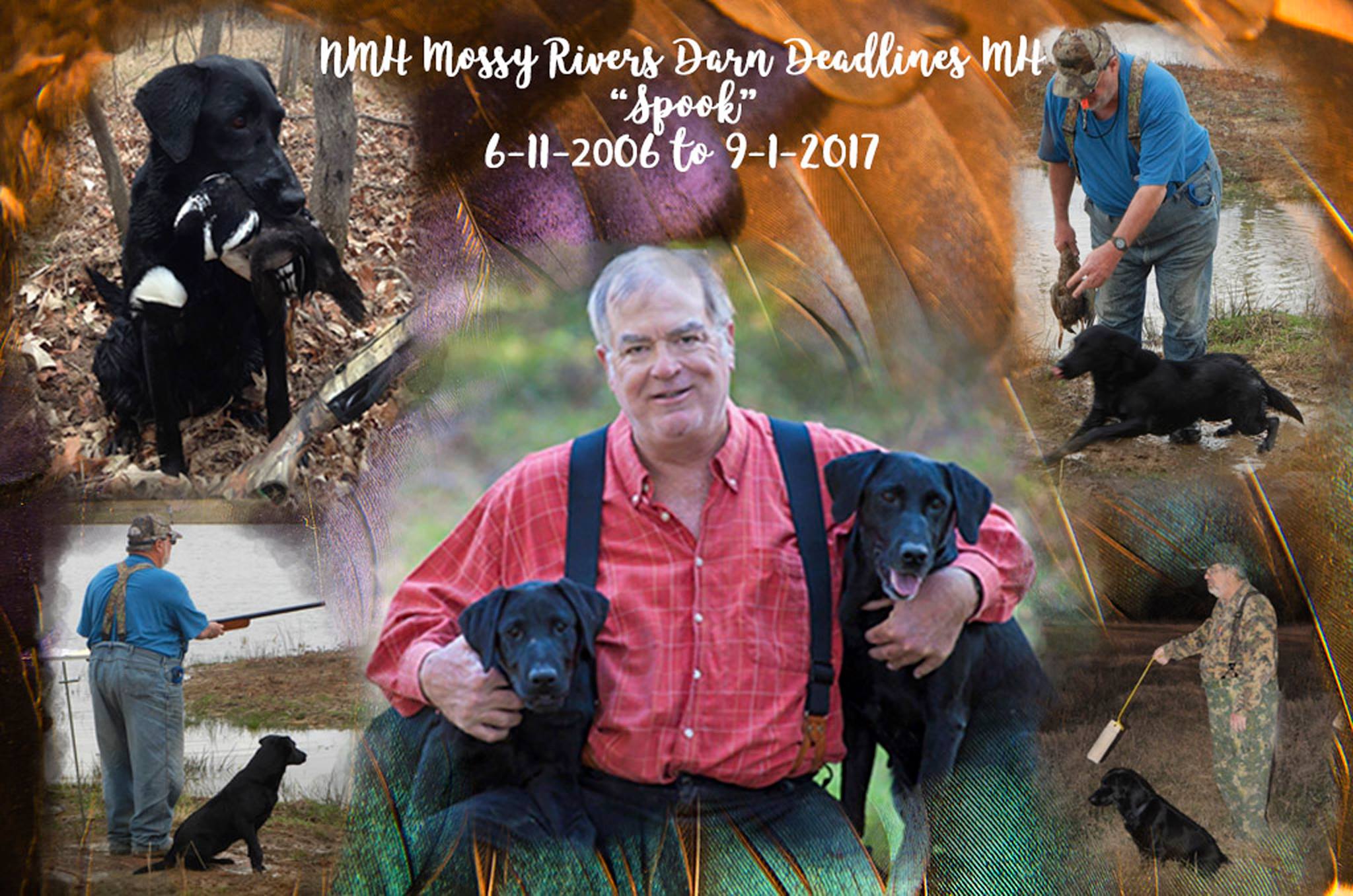 NMH Mossy Rivers Darn Deadlines MH | Black Labrador Retriver