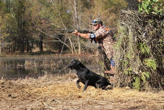 GRHRCH UH Biggg Thunder Storm MNH | Black Labrador Retriver