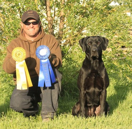 GRHRCH Duckdawgs Hope And A Prayer MH QAA | Black Labrador Retriver