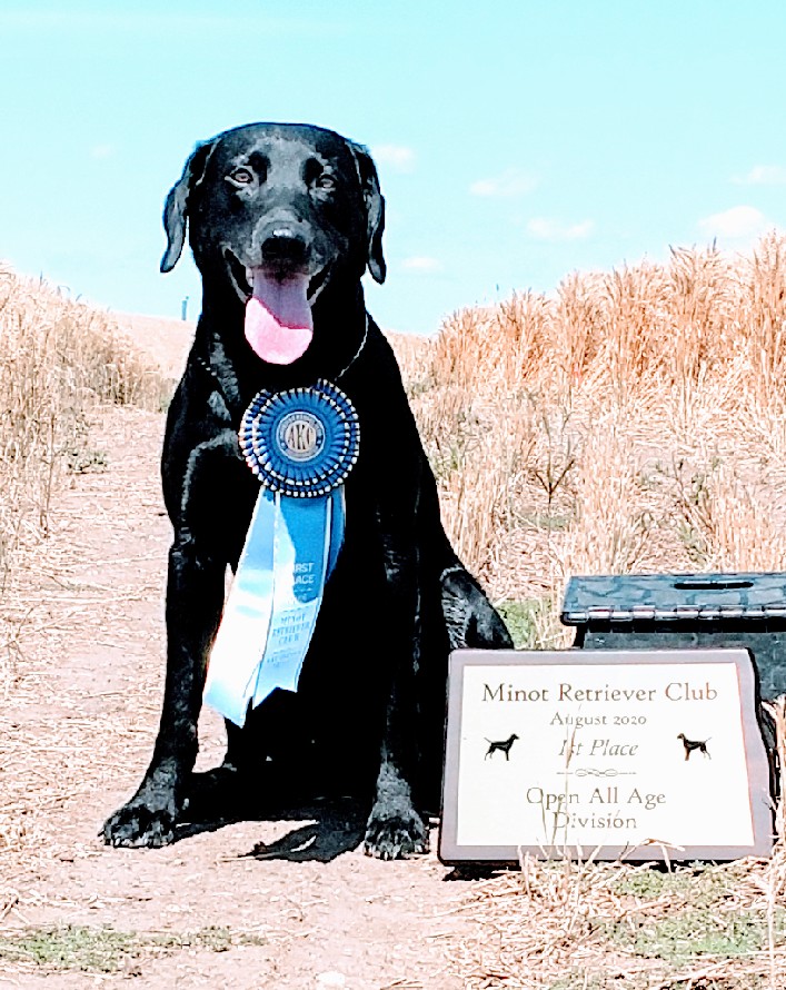 NAFC FC Bristol's North Slope Ptarmigan | Black Labrador Retriver