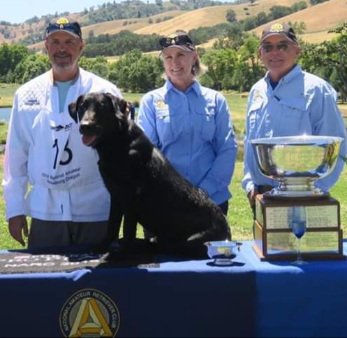 '18 NAFC FC AFC Steadfast's Bachelor Special | Black Labrador Retriver