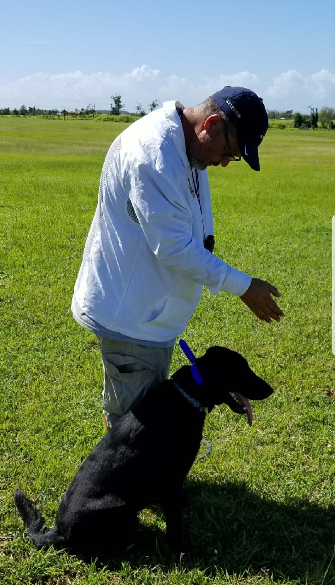 Carbon Star's Powerhouse | Black Labrador Retriver