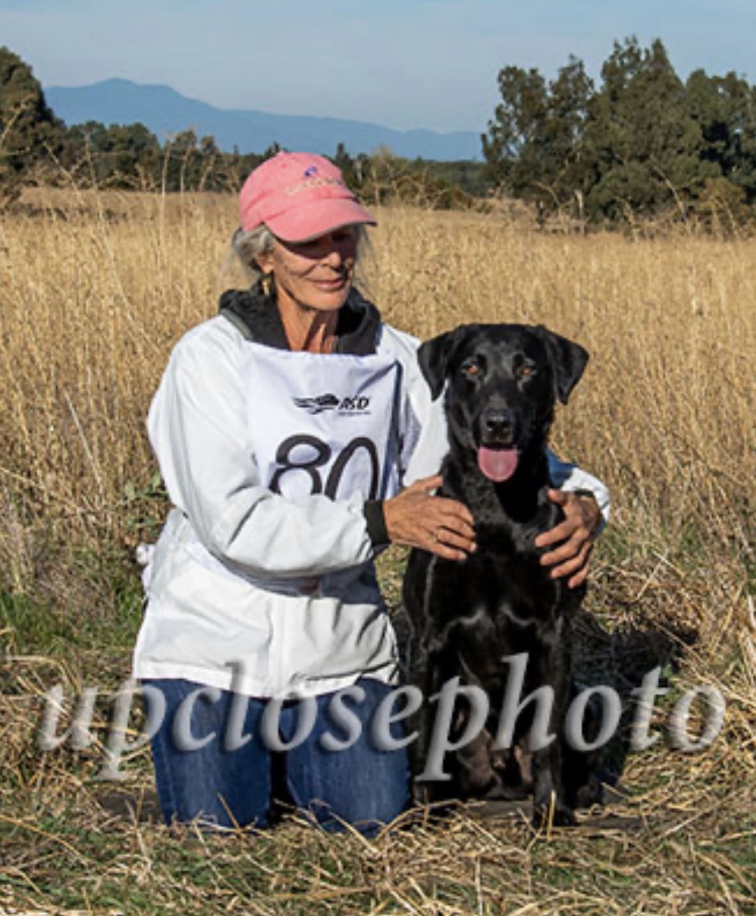 FC AFC Short Stack Double Or Nothin' NDL15 | Black Labrador Retriver