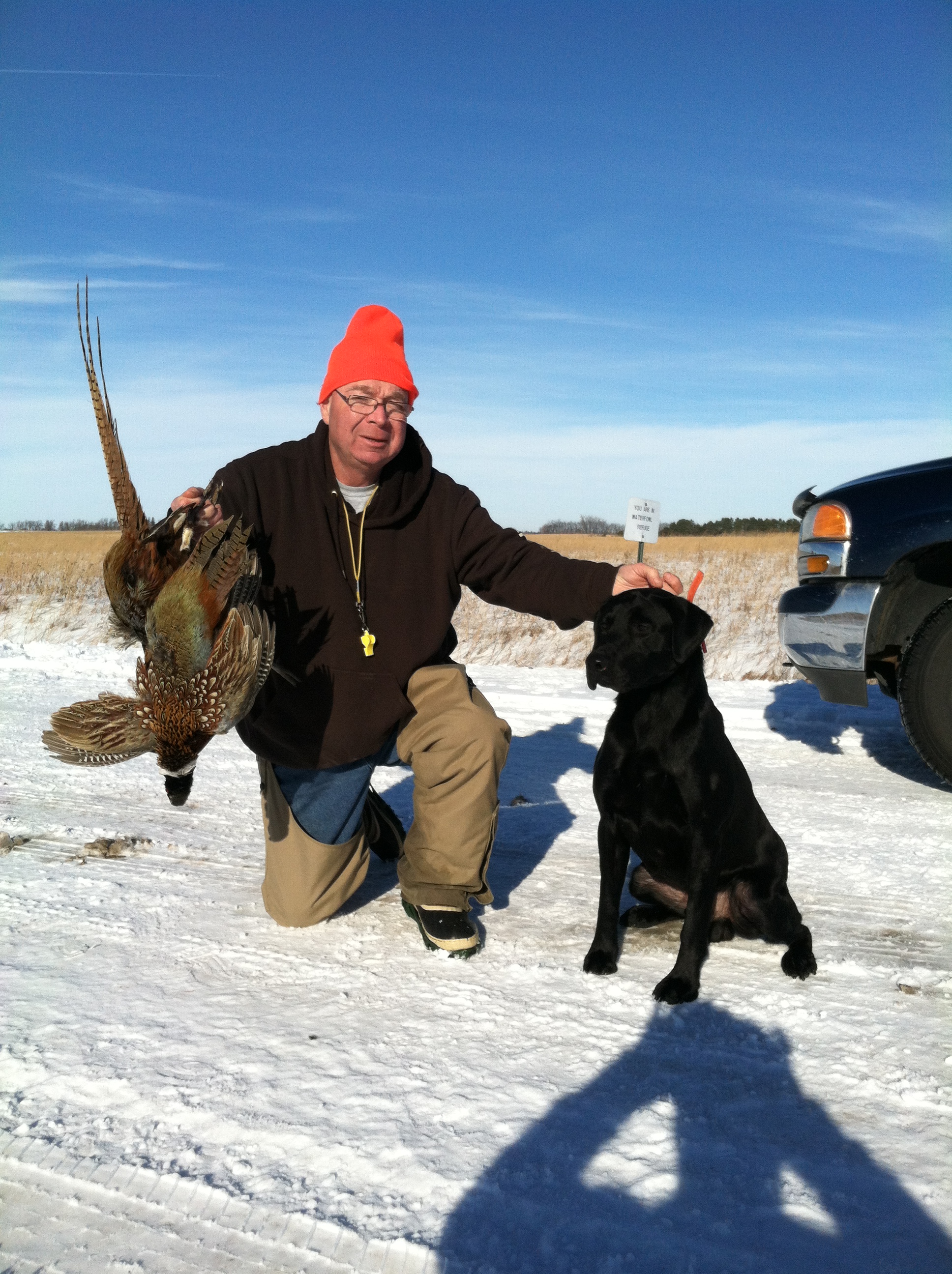 Four Winds Little Riley QA | Black Labrador Retriver