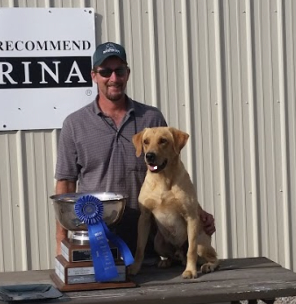 Backwaters Recon QA2 | Yellow Labrador Retriver