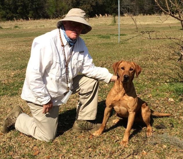 FC AFC Gunstock's Win Chester | Yellow Labrador Retriver