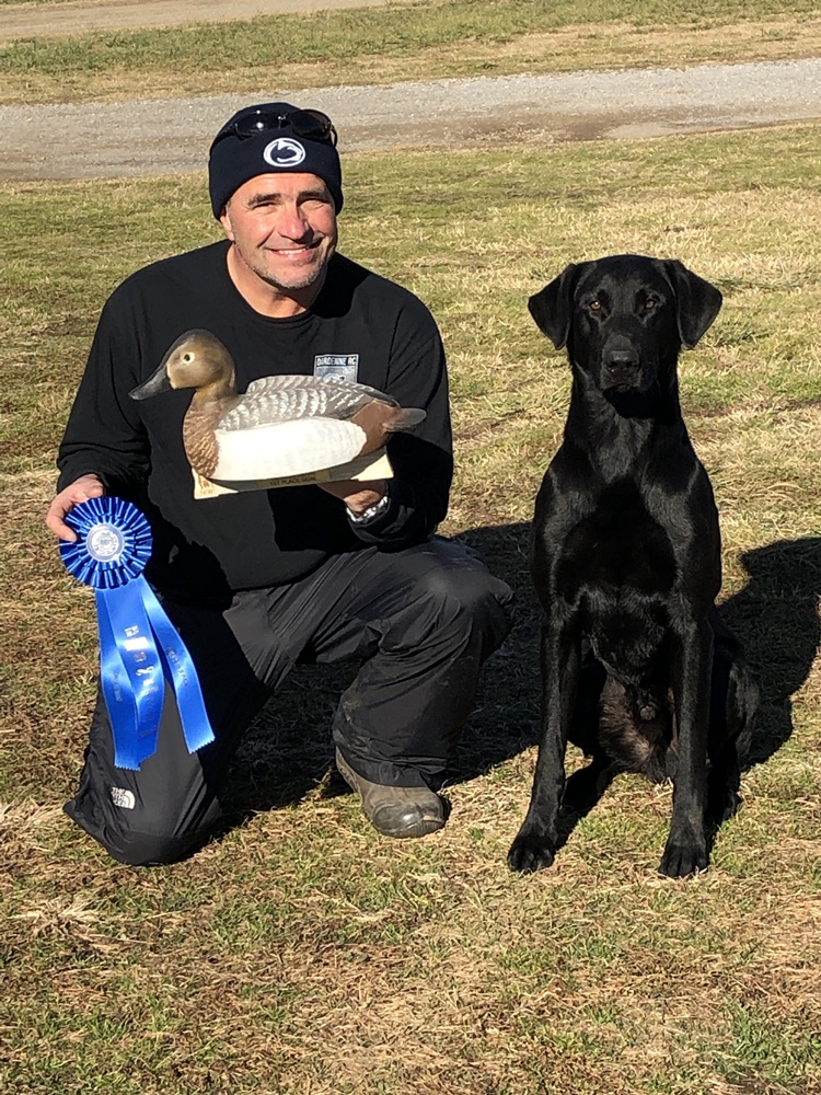 Windy City's Moorman Centennial | Black Labrador Retriver