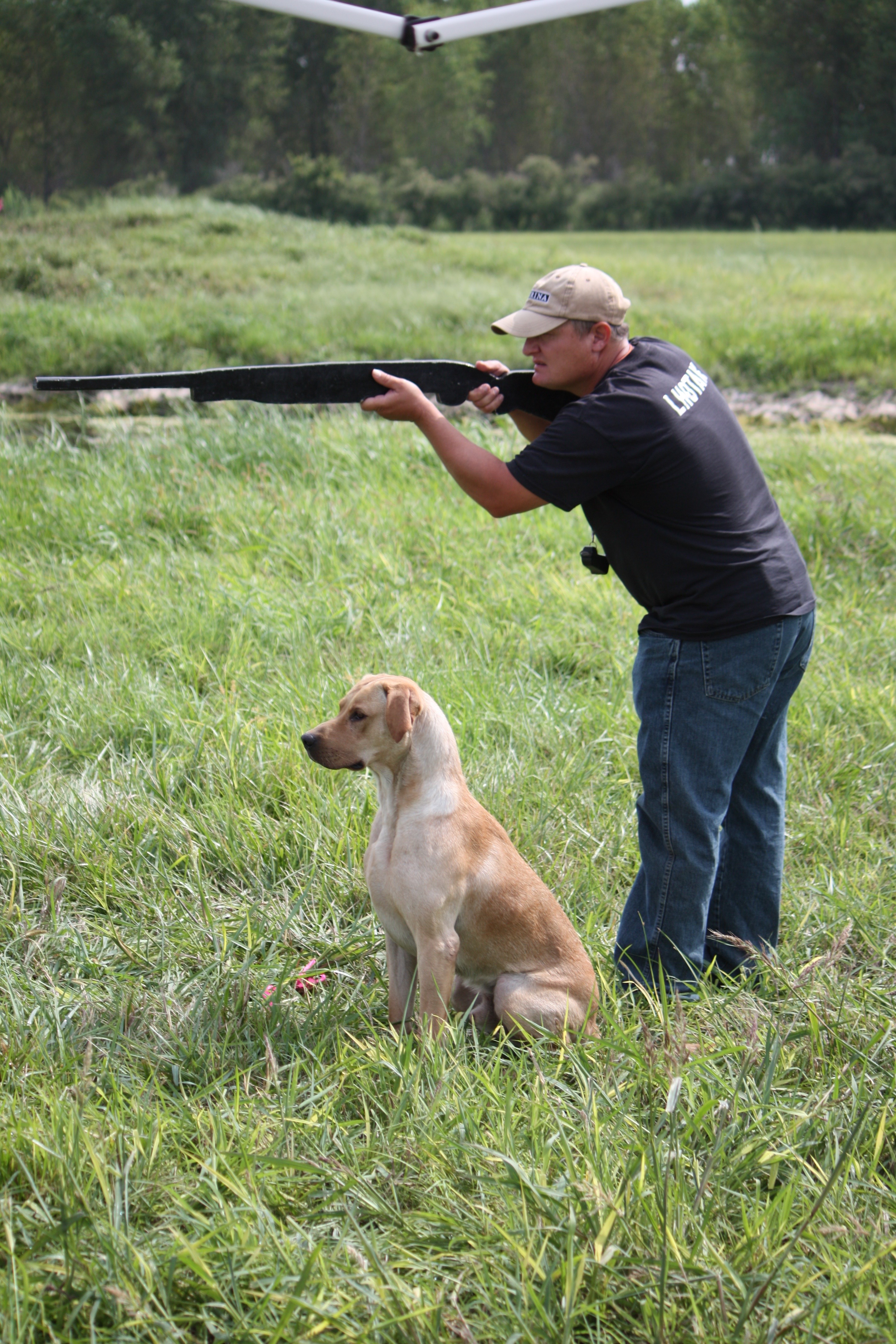 4XGMPR HRCH Lemke's Bro Named Suh SH | Yellow Labrador Retriver