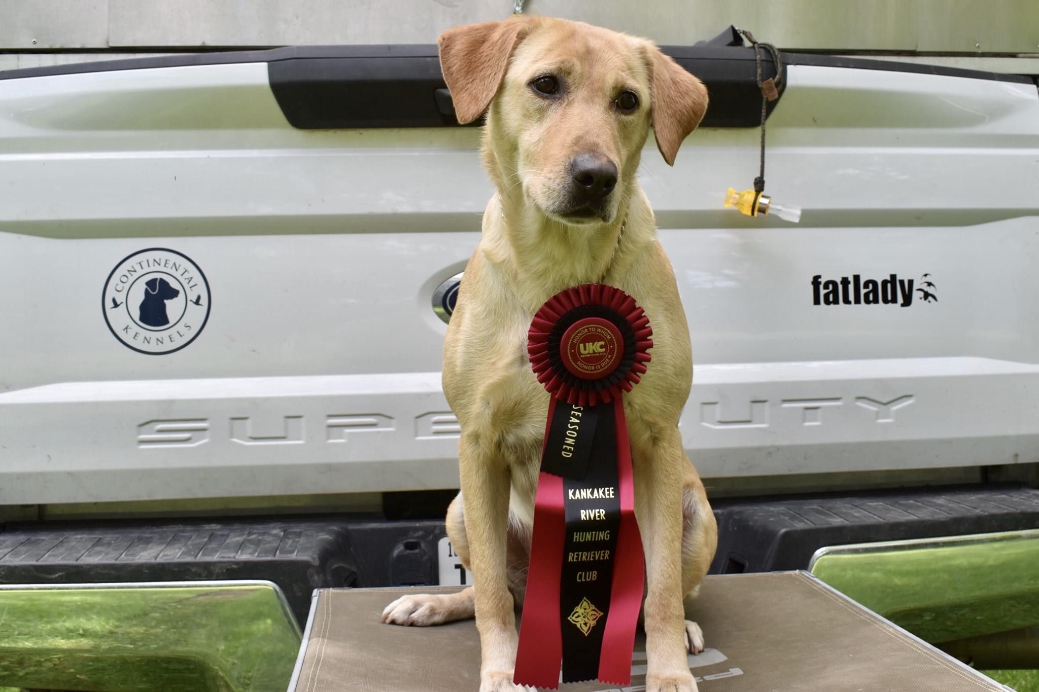 HRCH  BlackFoot's Straight No Chaser MH | Yellow Labrador Retriver