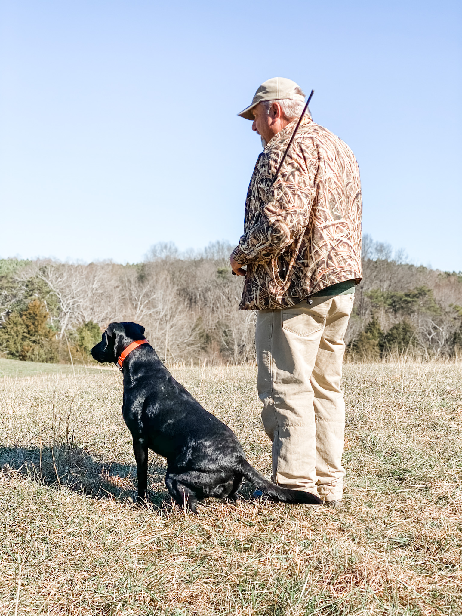 Coolwater's Midnite Jazz | Black Labrador Retriver