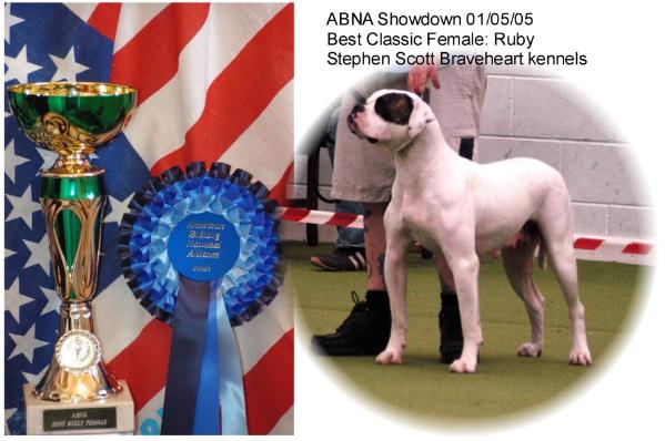 Bravehearts uk's Ruby | American Bulldog 
