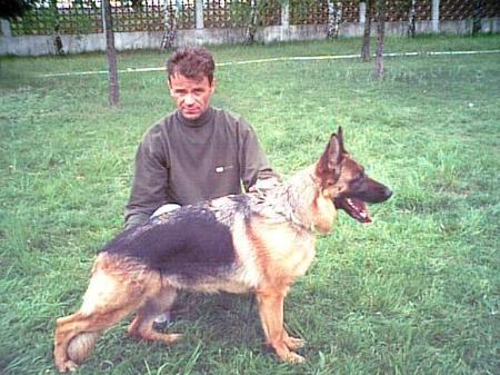 Enchi z Lintichu | German Shepherd Dog 