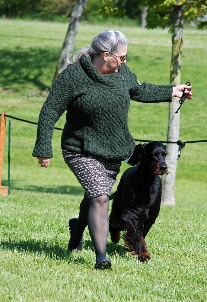 Osage Ridge Hunter’s Grace | Gordon Setter 