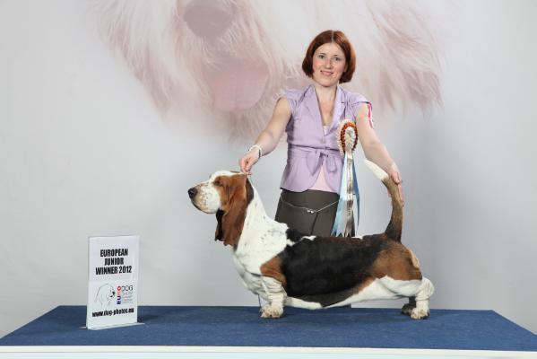 Hast Bliss A'capella Spring for Golpair | Basset Hound 