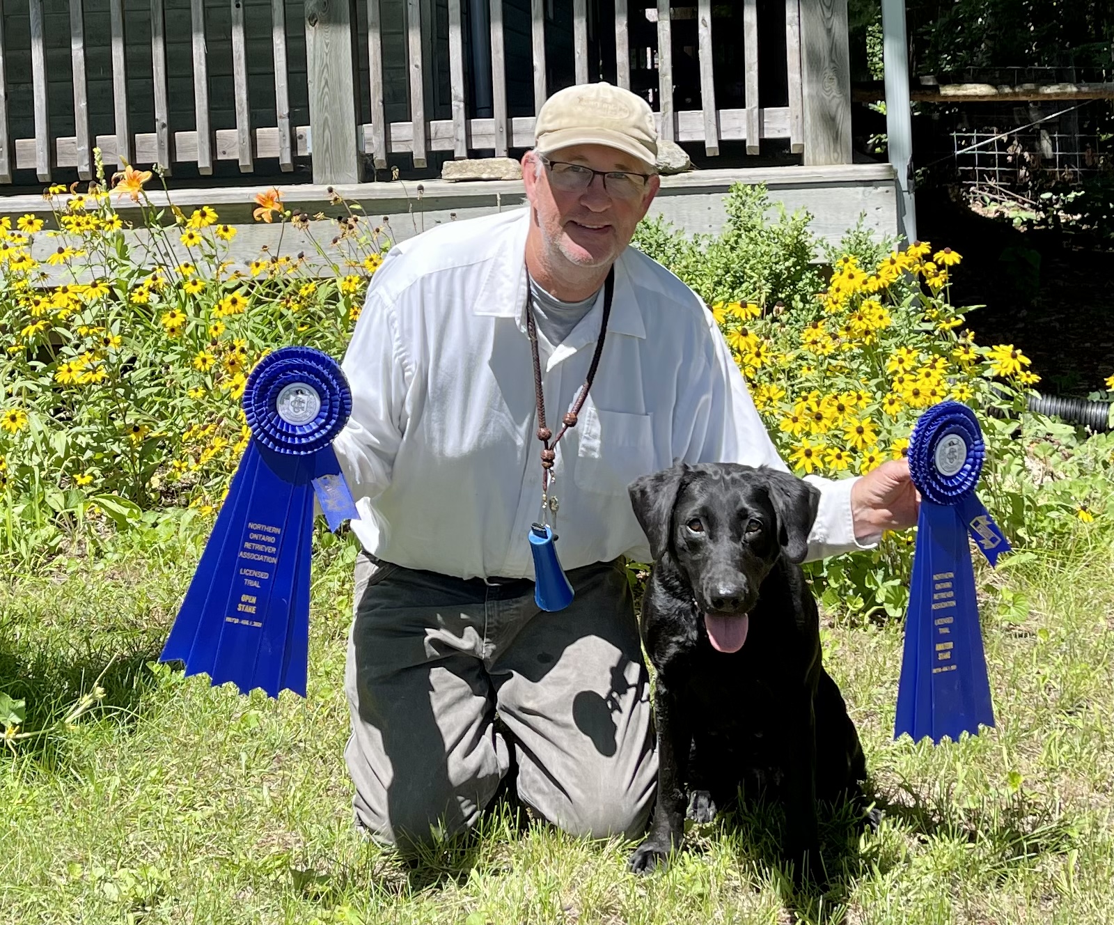 FTCH AFTCH Frr's Ray Of Sunshine | Black Labrador Retriver