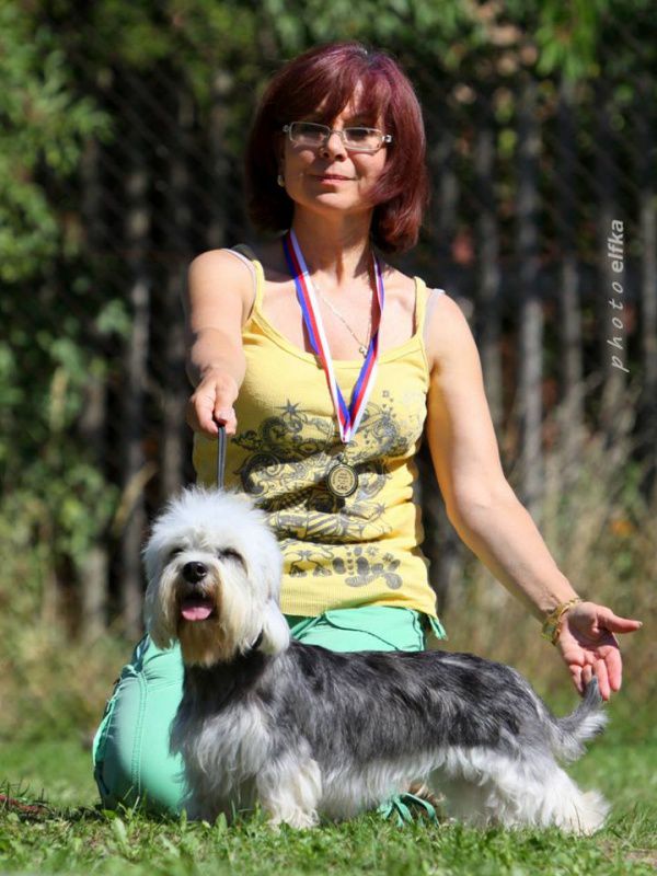 Francesca Forza ze Zihelske Zahrady | Dandie Dinmont Terrier 