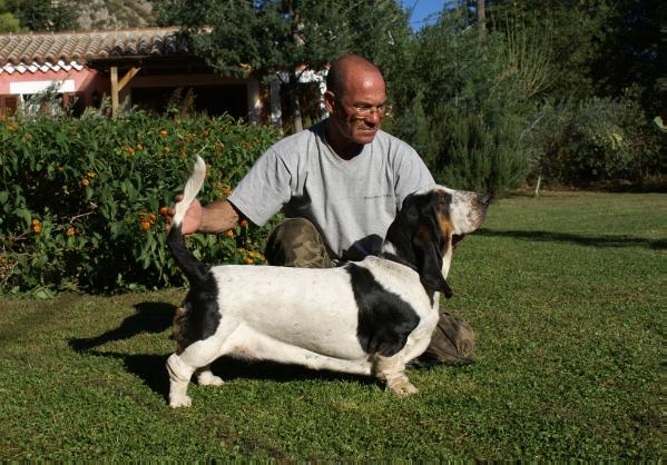 Ada from Winter Dreams | Basset Hound 