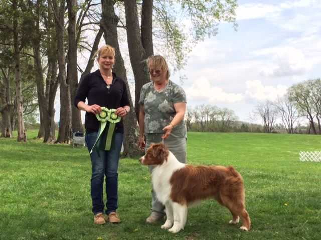 Buff Cap Santa Fe Sunset | Australian Shepherd 