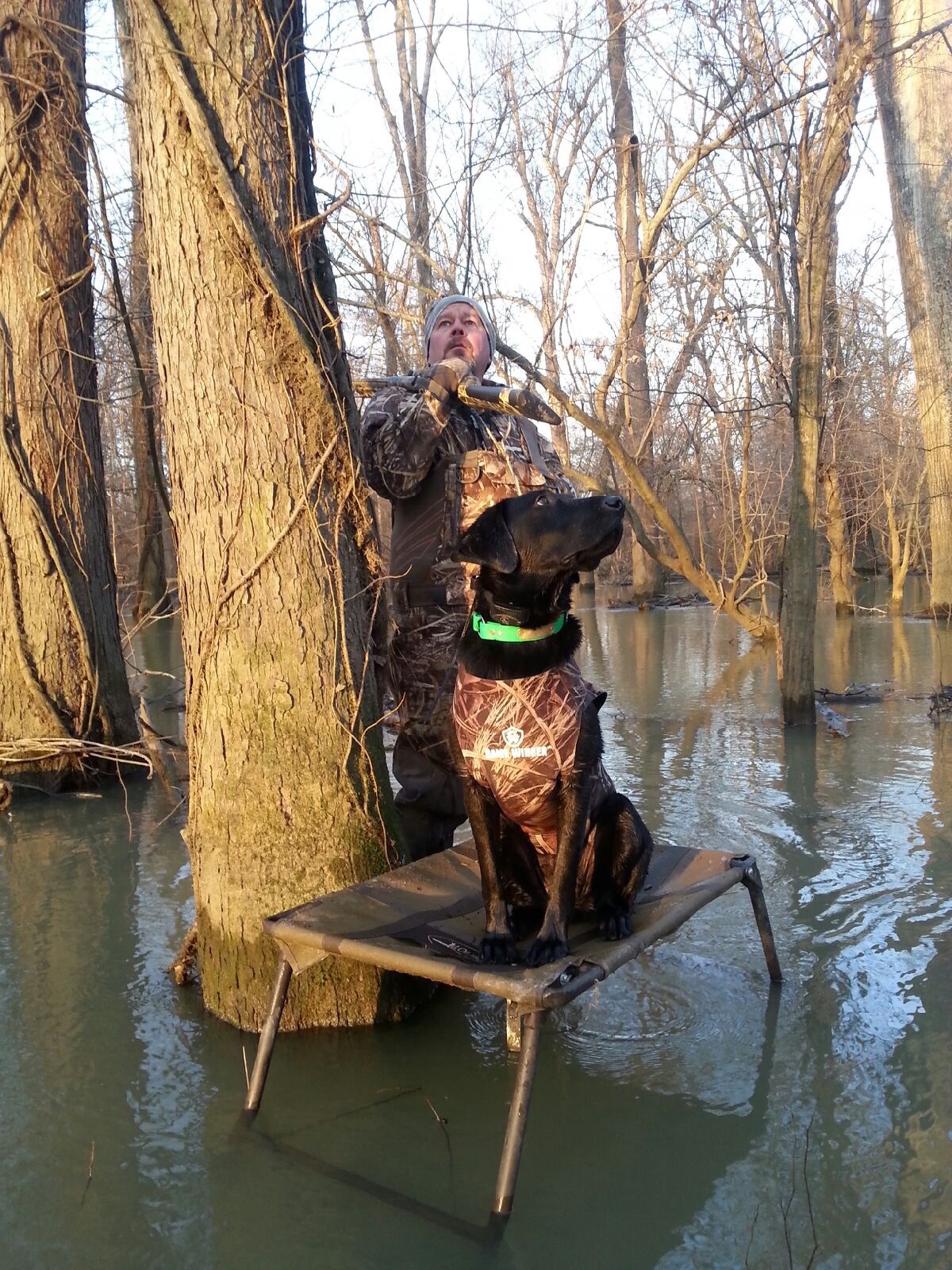 Willowpoints Shiney Black Gem | Black Labrador Retriver