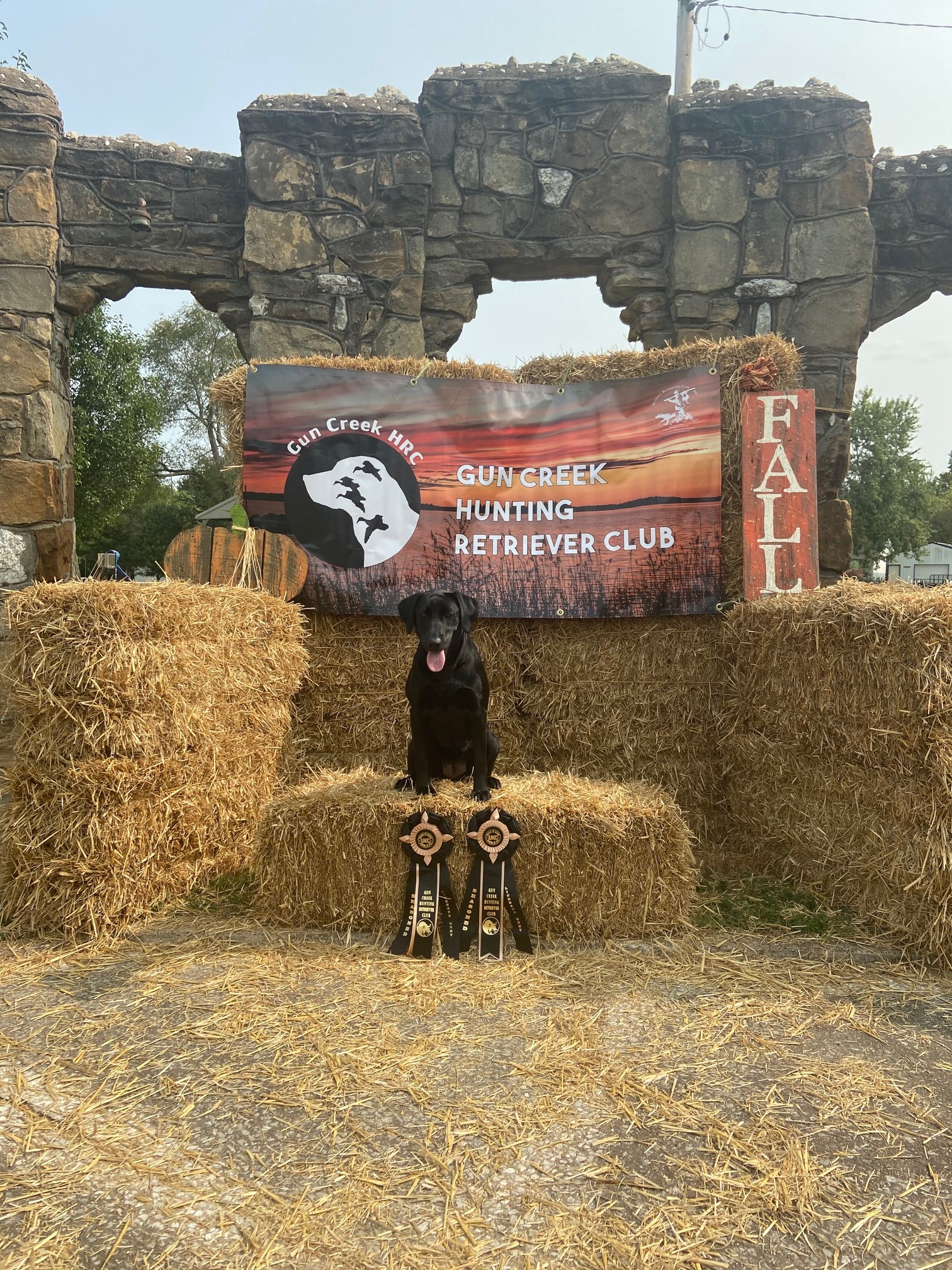 HRCH  Prairie States Vortex | Black Labrador Retriver