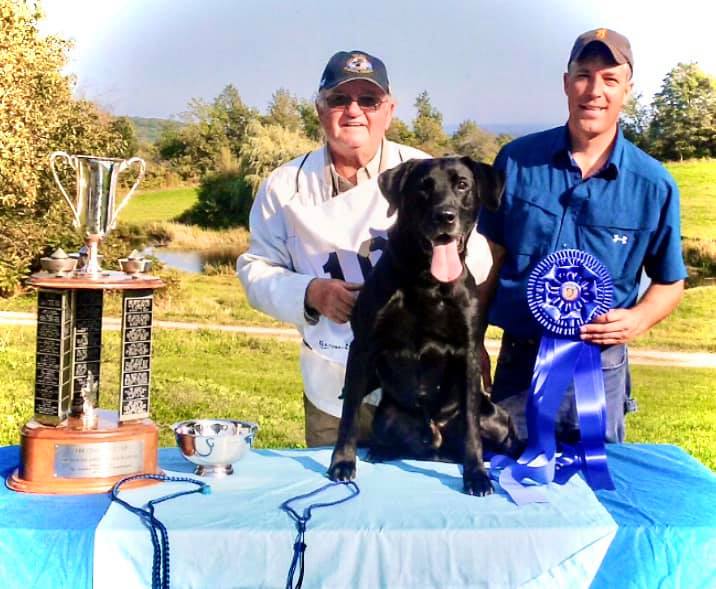 2017 NFTCH FTCH  AJTop Cruisin With The Pirate | Black Labrador Retriver