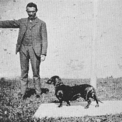 Wally Kickebusch | Dachshund 