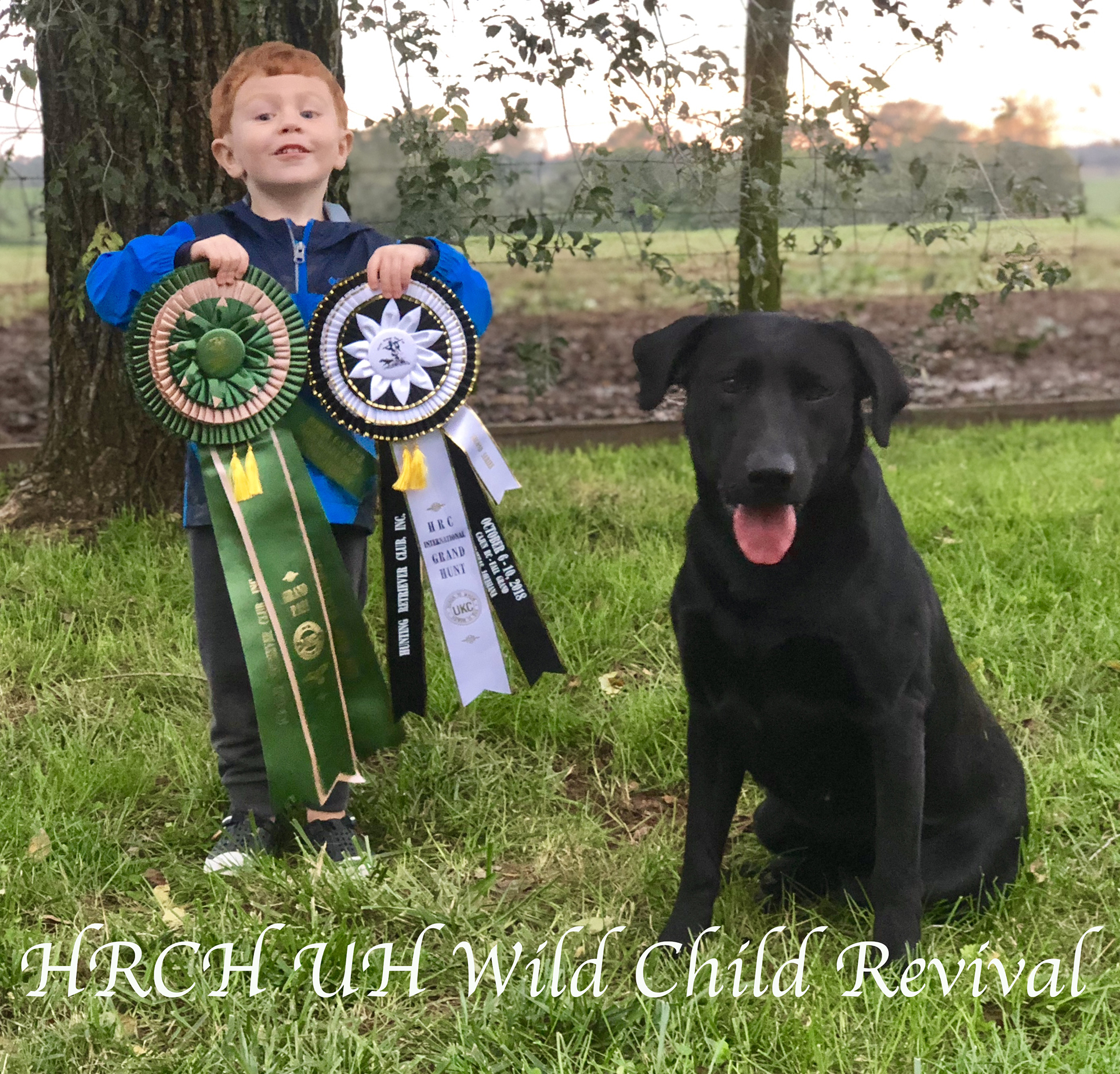 GRHRCH UH Wild Child Revival MH | Black Labrador Retriver